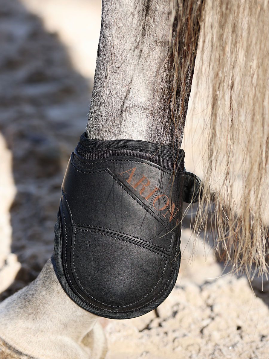 Lot protections de concours – Image 5