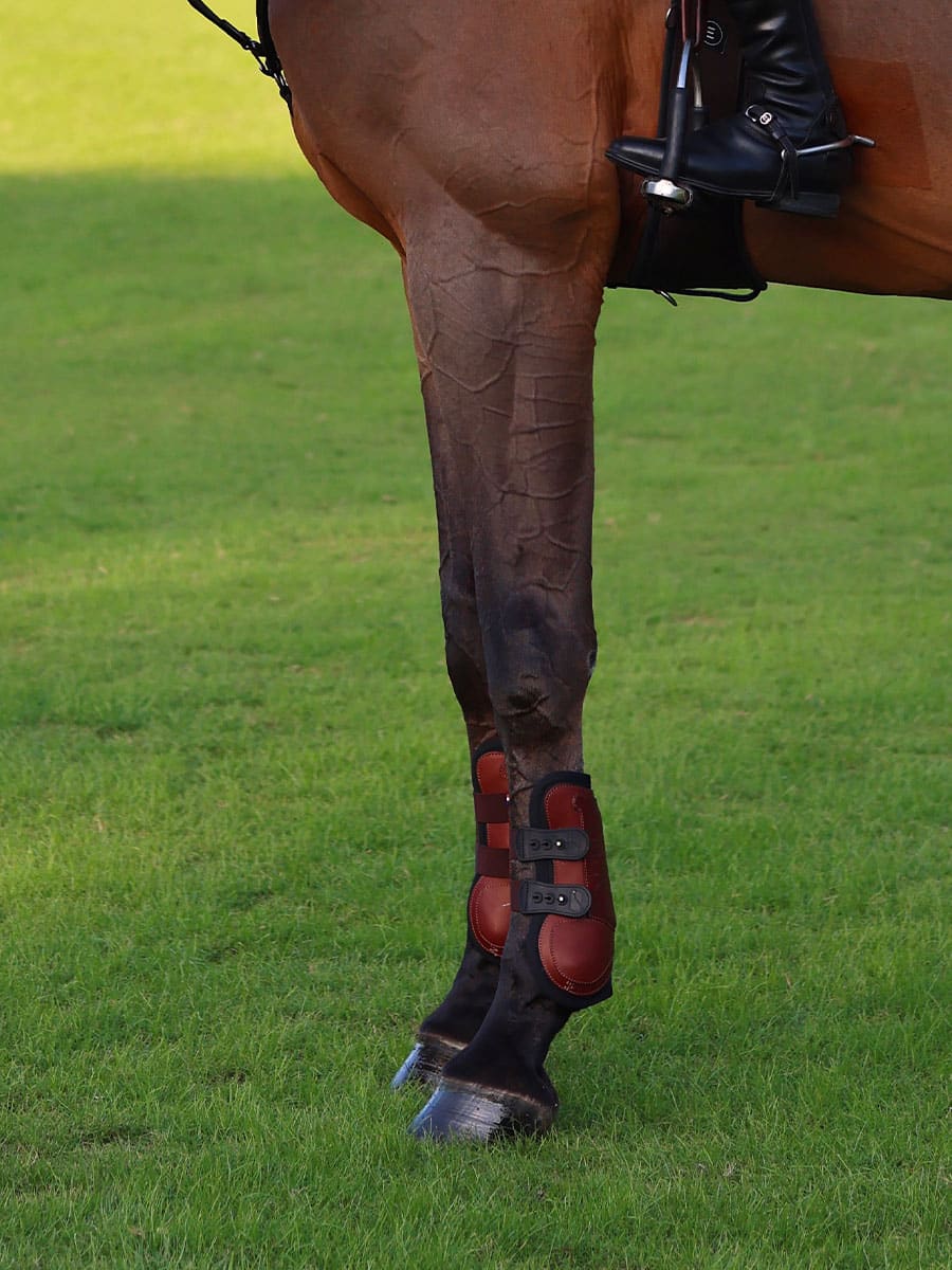 Lot protections de concours – Image 7